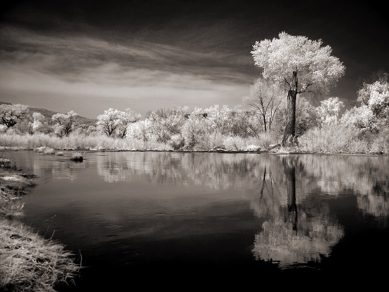 White River View 4 Fort Apache, AZ � Dave Hickey